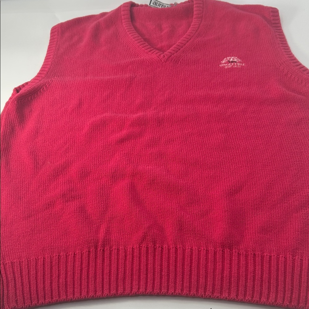 Laurent Men's V-Neck Red Sweater Vest